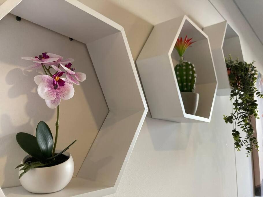 Acogedor Loft En Centro Internacional De Bogota Apartment Ngoại thất bức ảnh
